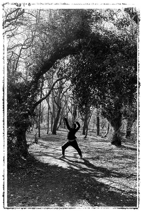 Marcela Enriquez Wakeham Warrior Trees